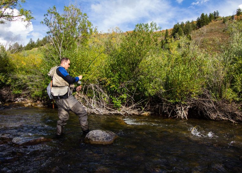 photo fly fishing Logan River