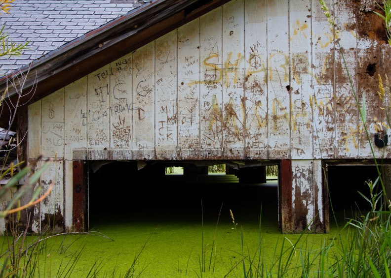 photo inside abandoned flooded house